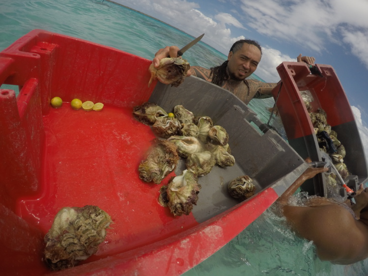 Production en baisse pour la pêche hauturière Production en baisse pour la pêche hauturière