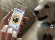 Des gadgets à foison au CES pour garder (électroniquement) son chien en laisse Des gadgets à foison au CES pour garder (électroniquement) son chien en laisse