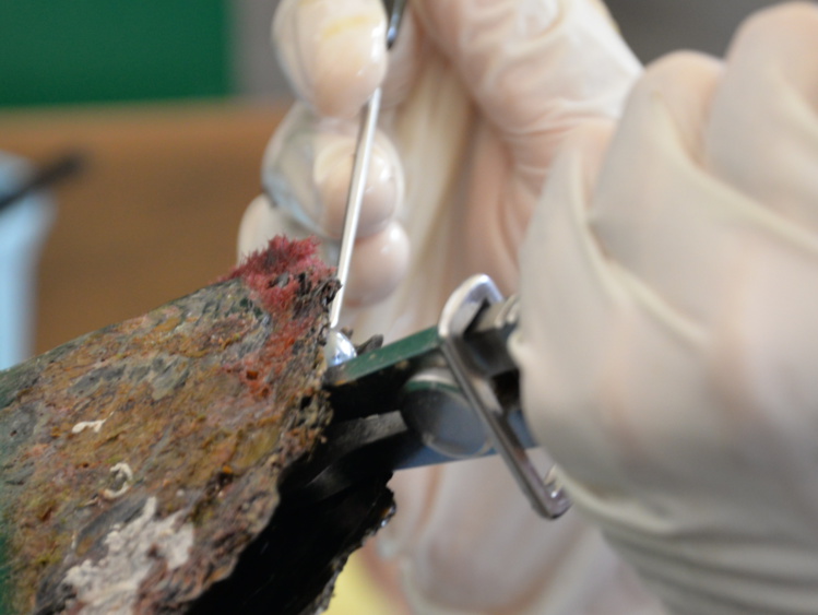 Perles : des chiffres en hausse mais contestés