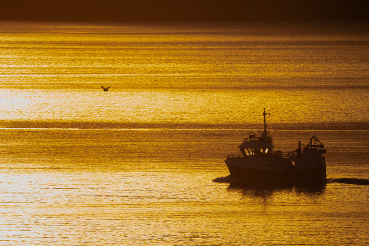 Olivier MORIN / AFP Olivier MORIN / AFP