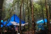 Une touriste américaine victime d'un viol collectif en Papouasie