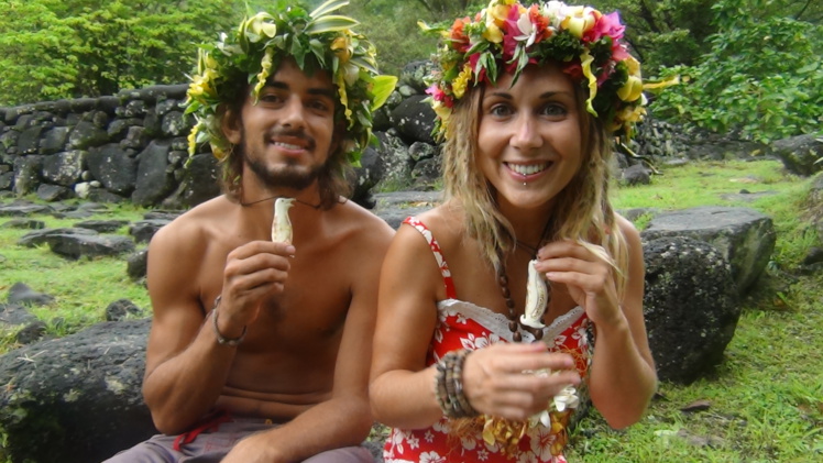 Les "sacré-manchots" font le tour du monde