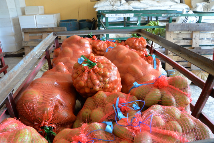 L'agriculture au cœur du développement de Ua Pou L'agriculture au cœur du développement de Ua Pou