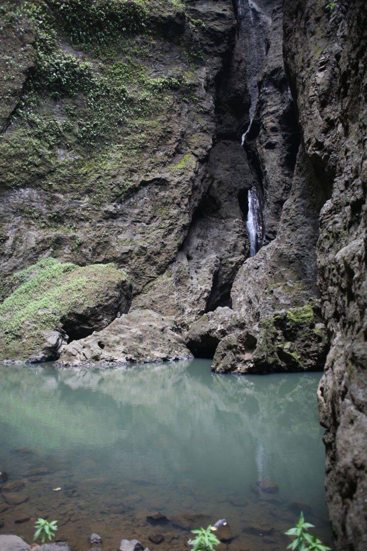 Le bas de la chute d'eau ; d'énormes blocs se sont éboulés (on ne peut voir la cascade), mais on peut se baigner dans la piscine naturelle, ou grouillent chevrettes et anguilles.