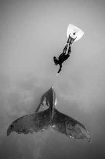 Une expo, 15 tirages, 50 000 visiteurs Une expo, 15 tirages, 50 000 visiteurs