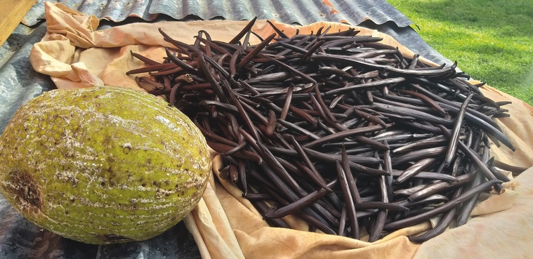 Un “plan social” à l’Épic Vanille Un “plan social” à l’Épic Vanille