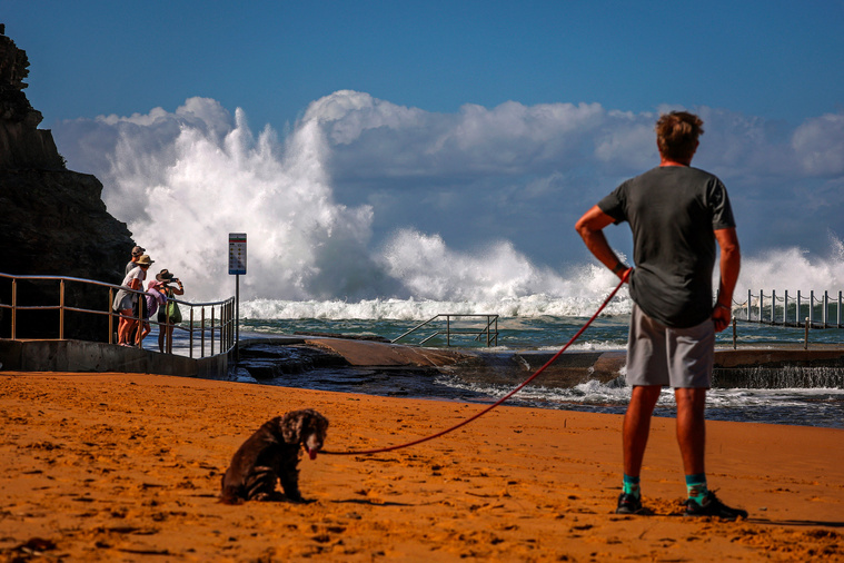 Crédit DAVID GRAY / AFP Crédit DAVID GRAY / AFP