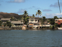 Hawaï : premier cas d'anomalie cérébrale chez un nouveau-né liée au virus Zika Hawaï : premier cas d'anomalie cérébrale chez un nouveau-né liée au virus Zika