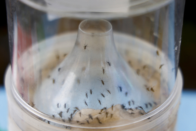 Crédit Ludovic MARIN / AFP Crédit Ludovic MARIN / AFP