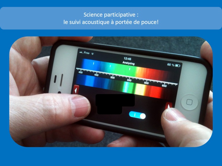 Comment les poissons "parlent" entre eux Comment les poissons "parlent" entre eux