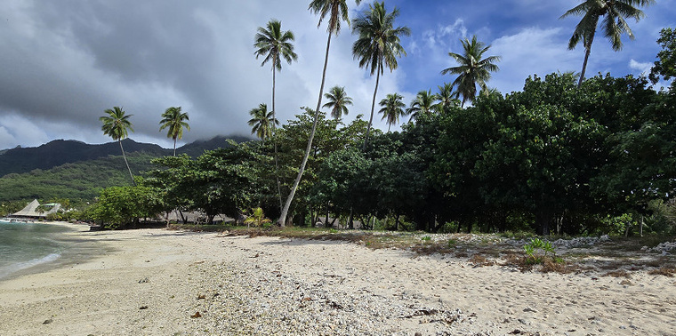 Crédit photo : Archives TI. Crédit photo : Archives TI.