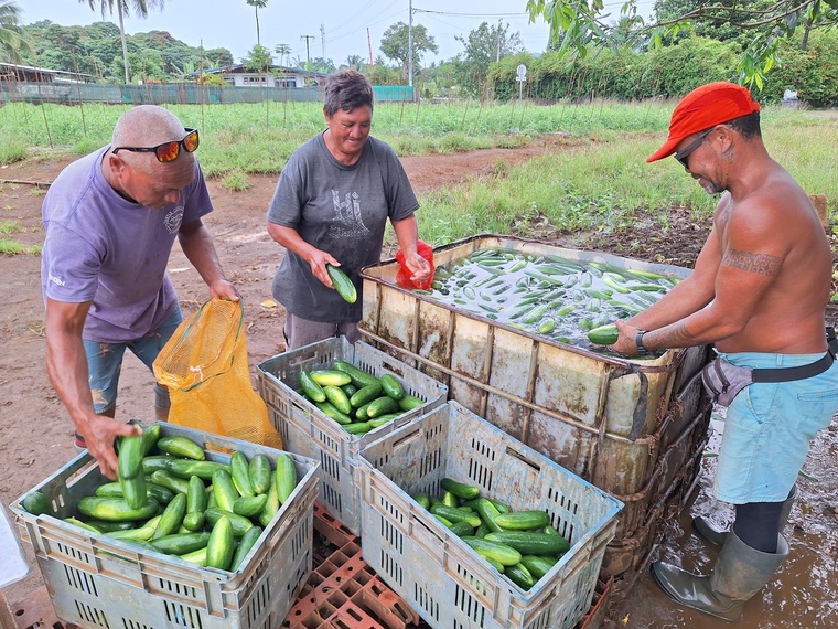 Ce manque de respect pèse sur le moral de l’équipe qui voit une partie de son travail s’envoler. Ce manque de respect pèse sur le moral de l’équipe qui voit une partie de son travail s’envoler.