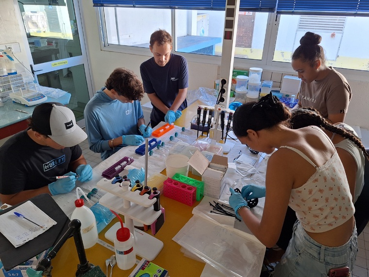 La préparation et les analyses sont effectuées en laboratoire à l’Ifremer. La préparation et les analyses sont effectuées en laboratoire à l’Ifremer.