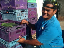 La Sipac favorise les petits agriculteurs locaux