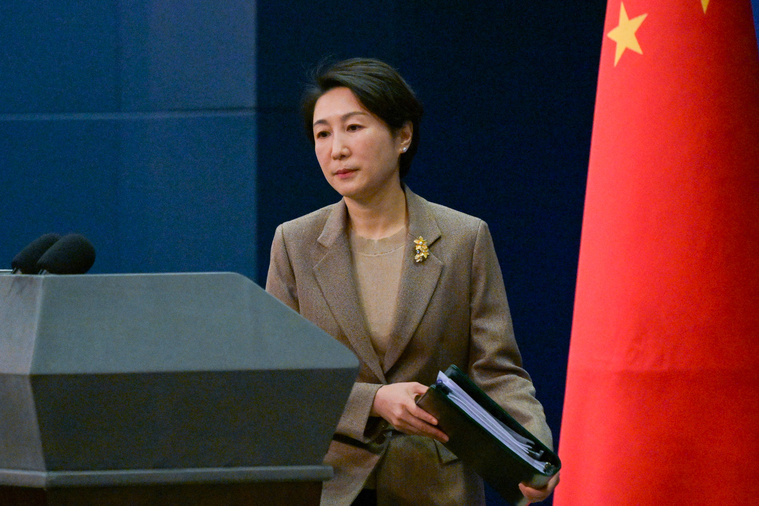 Crédit Pedro Pardo / AFP Crédit Pedro Pardo / AFP