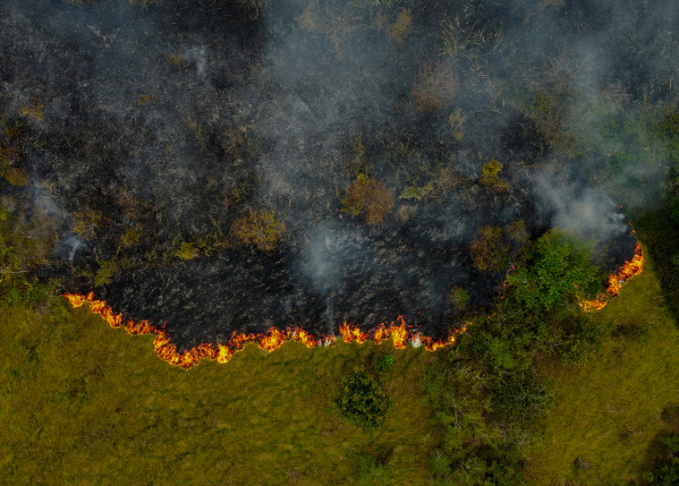 MICHAEL DANTAS / AFP MICHAEL DANTAS / AFP