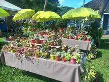 Les 14e floralies voyagent dans le temps Les 14e floralies voyagent dans le temps