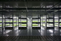 Japon: première ferme robotisée du monde prévue pour 2017 Japon: première ferme robotisée du monde prévue pour 2017