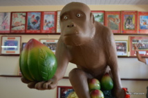 Derniers préparatifs pour le Nouvel an chinois