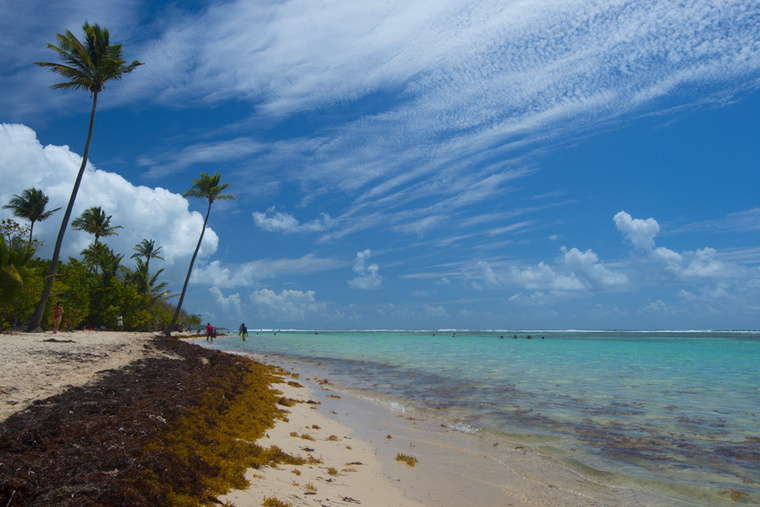 Helene VALENZUELA / AFP