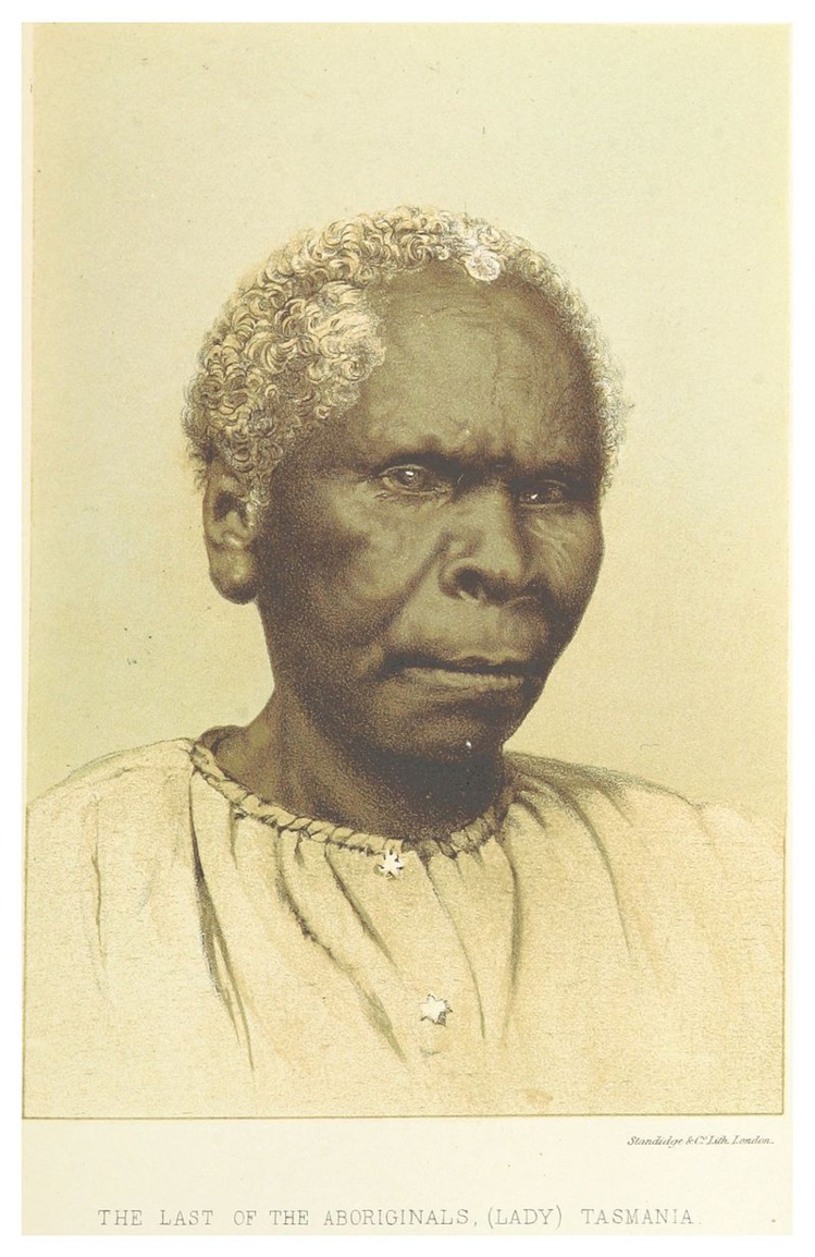 L’un des derniers portraits de Truganini, réalisé en 1871. Elle a alors 59 ou 60 ans.