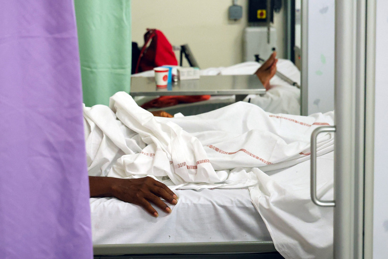 La Réunion: cinq nouveaux décès imputés au chikungunya malgré une épidémie en décrue La Réunion: cinq nouveaux décès imputés au chikungunya malgré une épidémie en décrue