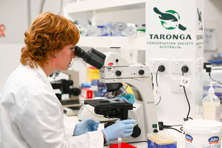 Saeed KHAN / AFP Saeed KHAN / AFP