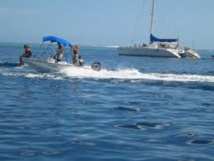 Le bruit des bateaux double la mortalité de poissons par prédation Le bruit des bateaux double la mortalité de poissons par prédation