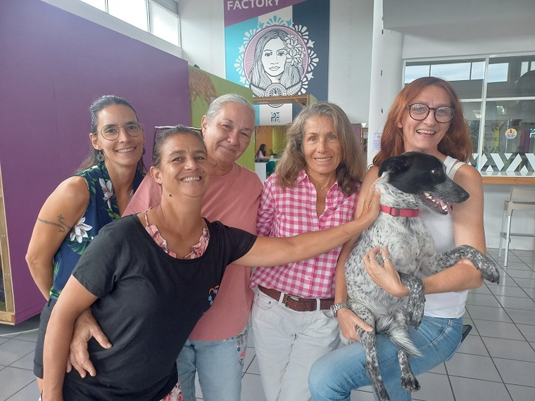 Un Hackathon solidaire pour la cause animale Un Hackathon solidaire pour la cause animale