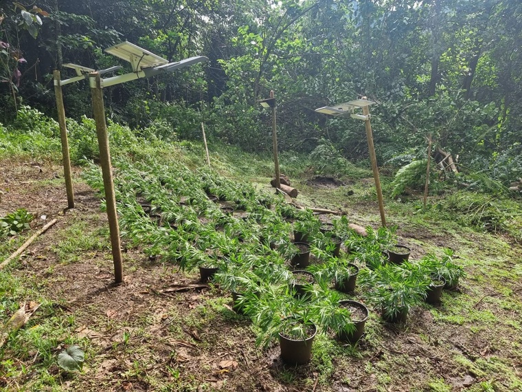 Crédit photo : FB Gendarmerie de Polynésie française. Crédit photo : FB Gendarmerie de Polynésie française.
