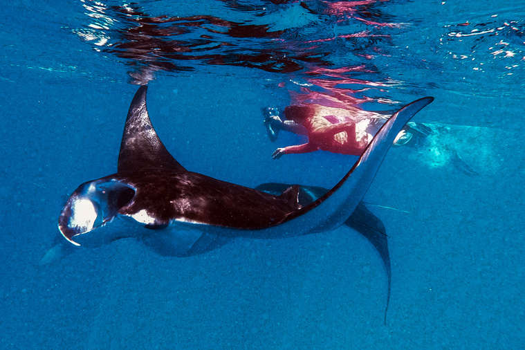 Mladen ANTONOV / AFP