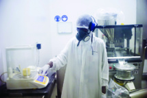 Zika: des chercheurs mettront gratuitement à disposition leurs découvertes Zika: des chercheurs mettront gratuitement à disposition leurs découvertes