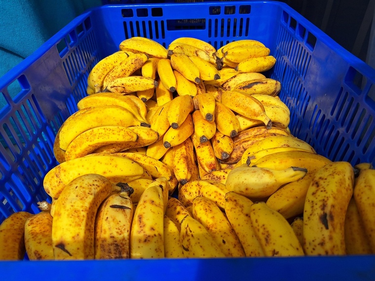 Des bananes à maturité à la demande. Des bananes à maturité à la demande.