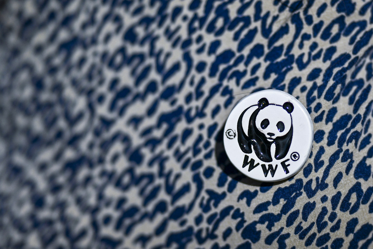 Crédit PATRICIA DE MELO MOREIRA / AFP Crédit PATRICIA DE MELO MOREIRA / AFP