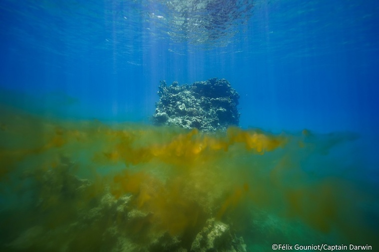 crédit Facebook Tama No te Tairoto crédit Facebook Tama No te Tairoto