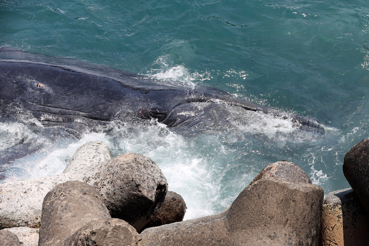 Richard BOUHET / AFP