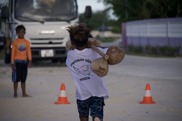 Tīmau rā'au pourrait bientôt intégrer les programmes d'ESP du premier degré. (crédit photo la DGEE) Tīmau rā'au pourrait bientôt intégrer les programmes d'ESP du premier degré. (crédit photo la DGEE)