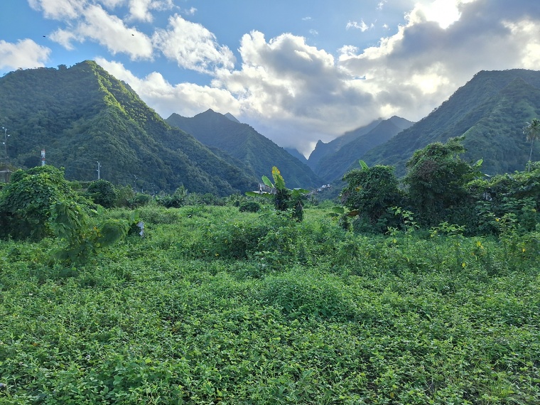 La partie non viabilisée serait potentiellement exploitable en fa’a’apu.