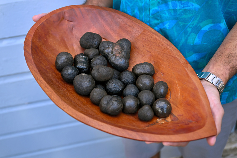 William WEST / AFP William WEST / AFP