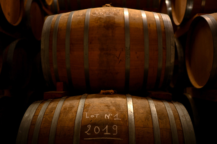 Crédit Christophe ARCHAMBAULT / AFP Crédit Christophe ARCHAMBAULT / AFP