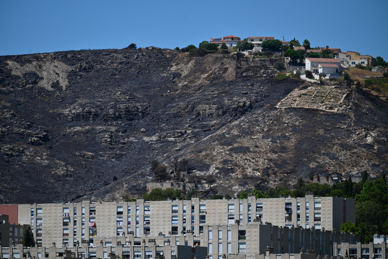Christophe SIMON / AFP Christophe SIMON / AFP