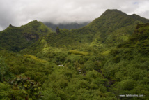 le haut de la vallée de la Papenoo vu depuis le relais de la Maroto. le haut de la vallée de la Papenoo vu depuis le relais de la Maroto.
