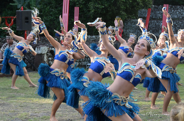 Hei Tahiti (Crédit : Vincent Wargnier/CAPF). Hei Tahiti (Crédit : Vincent Wargnier/CAPF).