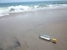 Une bouteille à la mer d'un peintre newyorkais retrouvée par ...une peintre charentaise