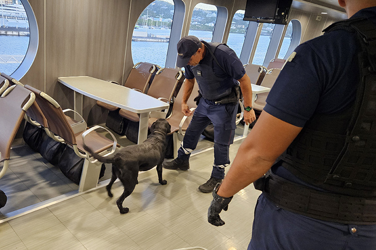 “Le cannabis est un élément extrêmement dangereux” “Le cannabis est un élément extrêmement dangereux”