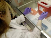 Des virus mangeurs de bactéries pour lutter contre la résistance aux antibiotiques