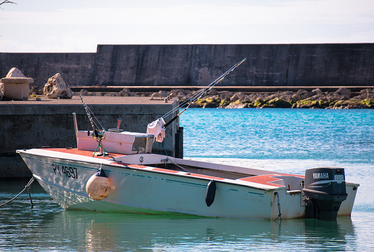 Le maire de Rurutu souhaiterait faire de la pêche un levier de développement pour son île. Le maire de Rurutu souhaiterait faire de la pêche un levier de développement pour son île.