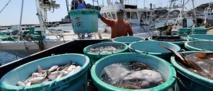 La vie houleuse des pêcheurs de Fukushima La vie houleuse des pêcheurs de Fukushima