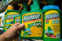 Le glyphosate est l'herbicide le plus utilisé dans le monde.