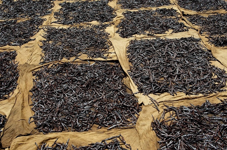 crédit photo Epic Vanille crédit photo Epic Vanille